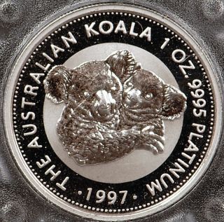 1997 Platinum Coin Austrlian Koala 1 Oz.  9995 Fine $100 photo