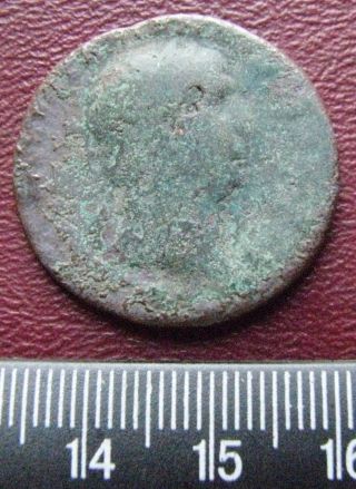 U - Id Authentic Ancient Roman Coin Large Dupondius Or As Roman Coin 13046 photo