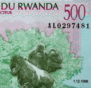 Gorilla Family On Money 1998 Rwanda 500 Francs Banknote Uncirculated photo