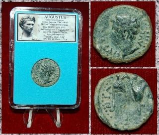 Roman Empire Coin Augustus Struck In Colonia Patricia,  Spain Avgustus On Obverse photo
