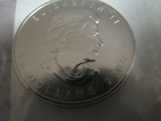 2006 Canada 1 Oz Palladium Maple Leaf 1 Ounce Coin photo
