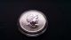 2012 1 Oz.  Silver Canadian Wildlife Series Cougar Coin Coins photo 1