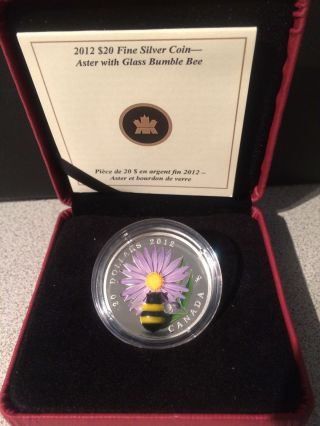 Aster With Venetian Glass Bumble Bee - 20 Dollars - 2012 photo