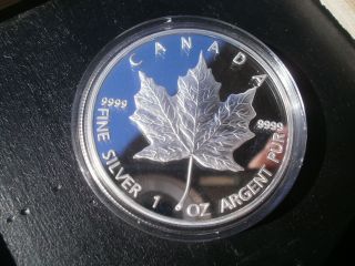 2013 Maple Leaf Coin photo