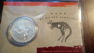 2003 $1 Silver Roo Australia Frosted Uncirculated Coin In Plastic Cover photo