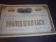 1890 Baltimore And Ohio Rail Road Co Stock Certificate Shares $100 Each R401 Pz Transportation photo 1