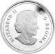 Autumn Bliss Harmony Atmospheric Seasons Silver Proof Coin 20$ Canada 2013 Coins: Canada photo 1