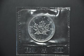 1 1993.  9999 1 Oz.  Silver Canadian 5 Dollar Maple Leaf photo