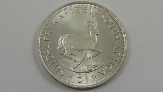 1951.  50 Silver George Vi South African Silver 5 Shillings - Pr - 73 photo
