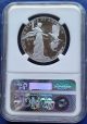 2015 - W Proof $100 American Platinum Eagle Ngc Pf 68 Ultra Cameo Early Release Platinum photo 2