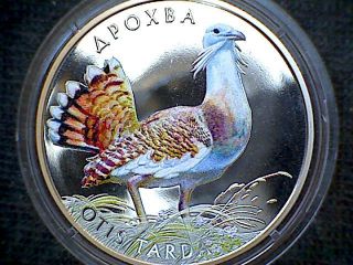 Ukraine 2013 2 Hryvna,  Wildlife,  Bustard - Otis Tarda,  Coloured Coin In Capsule photo