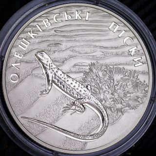 Ukraine 2015 2 Uah Oleshky Sands Lizard Sunc Nickel Coin photo