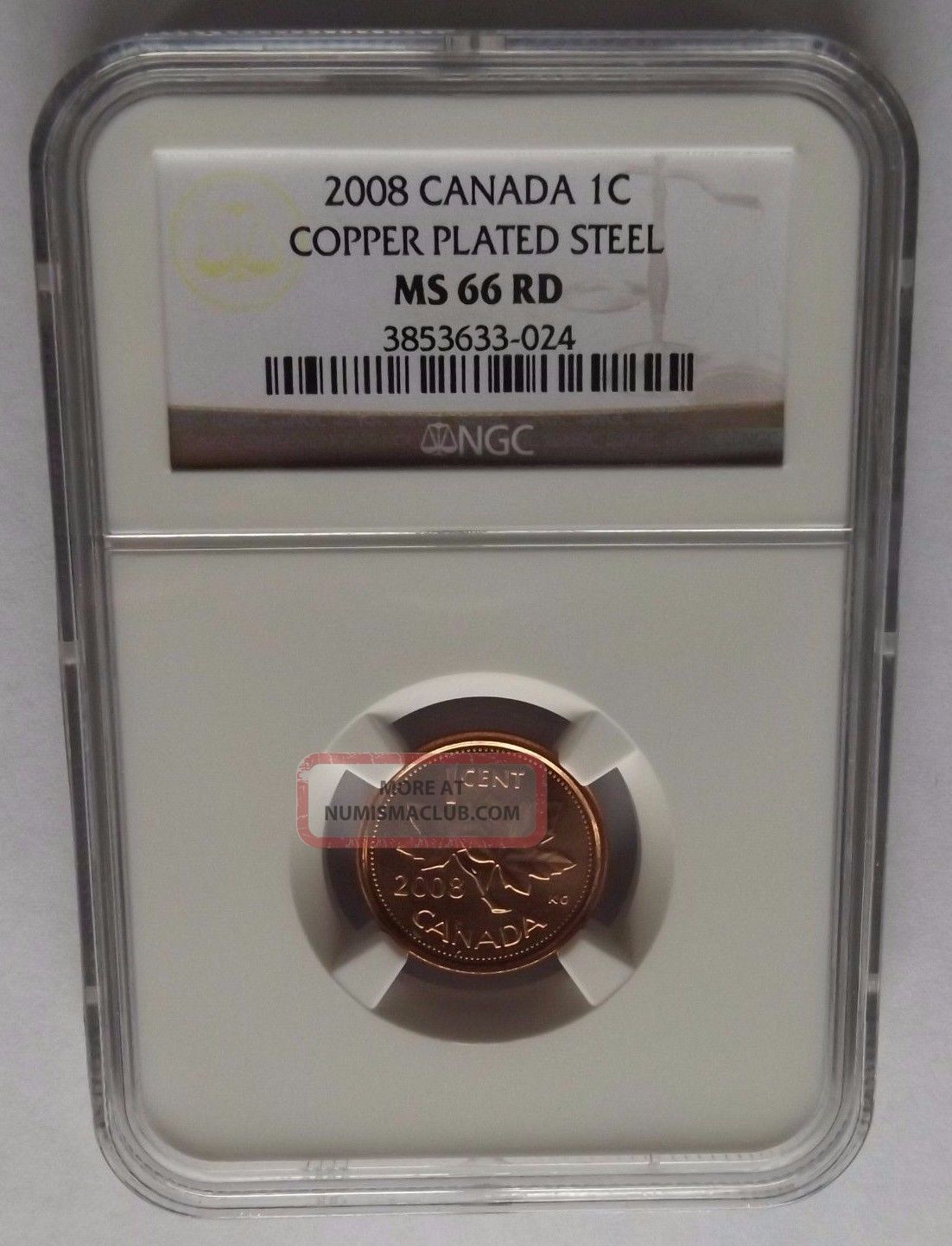 2008 Canada Ngc Ms66 Rd Copper Plated Steel Cent Coins: Canada photo