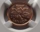 2008 Canada Ngc Ms66 Rd Copper Plated Steel Cent Coins: Canada photo 2