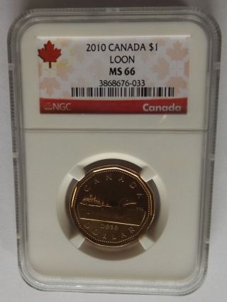 2010 Canada $1 Ngc Ms66 Loonie Dollar Red Canada Label 2nd Highest Grade photo