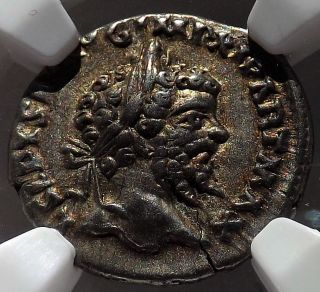 Sept Severus Ad 193 - 211 Ar Denarius Ngc Ch Vf Roman Empire Silver 5/5 4/5 photo