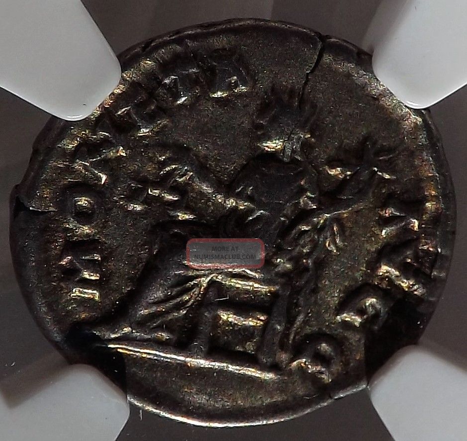 Sept Severus Ad 193 - 211 Ar Denarius Ngc Ch Vf Roman Empire Silver 5/5 4/5