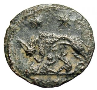 Roman Bronze Coin Of Foundation Of Rome Wolf Romae Aeternae Numismatics photo
