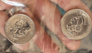 2 One Ounce Palladium Maple Leafs 2006 99.  95 Pure,  Time To Buy photo