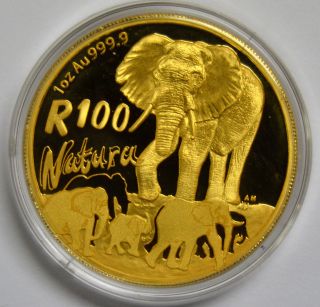 2008 South Africa Natura Elephant 1oz Gold Coin With Pendant - Only 400 Minted photo