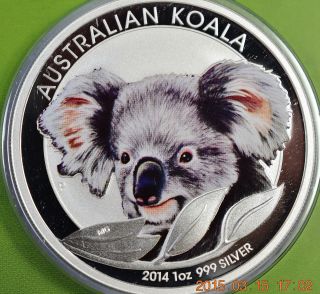 2014 Australian Koala 1 Oz.  Colored Silver.  999,  Coin In Card photo