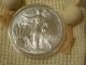 2015 Silver Eagle 1 Troy Oz.  999 Fine Silver Bullion In Airtite & Antique Pouch Silver photo 1