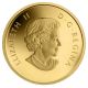Canada 2013 $5 Caribou O Canada Series 1/10 Oz Pure Gold Coin (no Tax) Coins: Canada photo 1