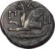 Cimmerian Bosporus,  Pantikapaion,  310 Bc.  Bronze.  Pan.  Griffin,  Sturgeon.  Rare. Coins: Ancient photo 1