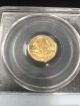 2004 $5 1/10 Oz Gold American Eagle Pcgs Ms69 Gold photo 7