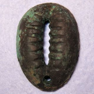 Hartill 1.  3 Large Bronze Cowrie Shell Money Shang Dynasty 1766 - 1154 Bc Earliest photo