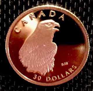 1996 Canadian $30 Platinum Proof Peregrine Falcon 1/10 Oz.  9995 Fine Platinum photo