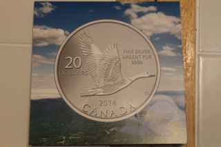 2014 $20 For 20 Canada Goose Coin & 99.  99 Fine Silver No Tax photo