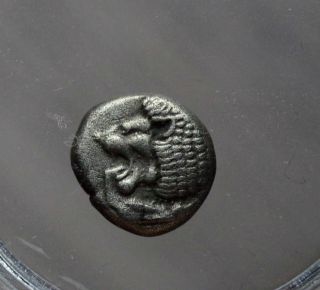 Ancient Silver Fraction Tetartemorion Ionia Lion 6th 5th Bc Rare Coin Greece 4 photo