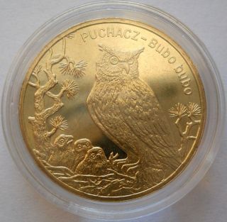 2 Zlote 2005 Animals Of The World: Eagle - Owl (bubo Bubo) Uncirculated photo