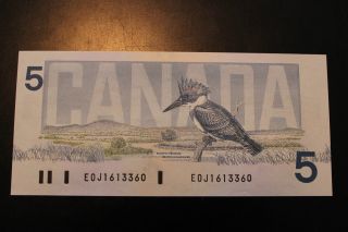 Canada 1986 $5 Bill Bird Series,  Crisp & Almost Uncirculated To Uncirculated. photo