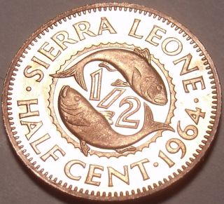 Rare Proof Sierra Leone 1964 Half Cent 10,  000 Minted Double Fish photo