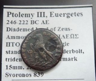 Ptolemy Iii Evergetes Zeus Eagle Countermark Scarce Type photo