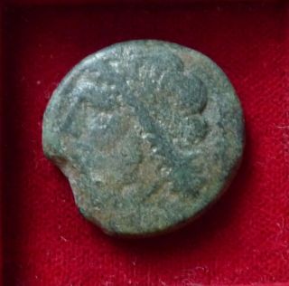 Apulia,  Arpi,  Æ 21mm.  3rd Century Bc.  Zeus Head / Calydonian Boar photo