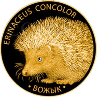 Belarus 2011 50 Rubles Hedgehog 1/4oz Proof Gold Coin With A Diamond photo