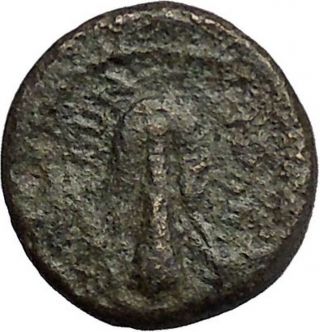 Greek City Ancient Greek Coin 300 - 100bc Apollo Father Of Asclepius Club I51942 photo