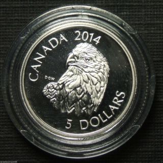 2014 Canada $5 Platinum Coin - Bald Eagle photo