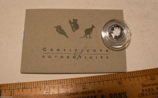 1992 Perth 1019 Mini Proof 1/20 Oz.  Platinum Australian Koala $5 Coin Only photo