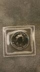 1993 1/10 Oz Platinum Maple Leaf Bu In Seal Plastic - Royal Canadian Platinum photo 2