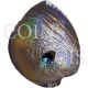 Palau 2012 5$ Haliotis Iris Abalone Shells Sea Hologram Convex Proof Silver Coin Australia & Oceania photo 2