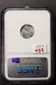 2004 $10 Platinum 1/10 Oz Eagle Ngc Ms70 17 - 9cnf Platinum photo 2
