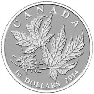 2014 $10 Fine Silver Coin.  5 Oz.  Silver Maple Leaf ' 14 Royal Canadian C1 photo
