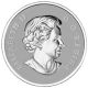 2014 $10 Fine Silver Coin.  5 Oz.  Silver Maple Leaf ' 14 Royal Canadian C1 Coins: Canada photo 1