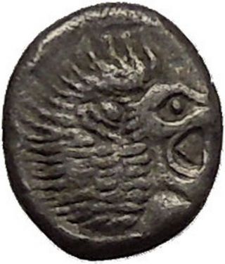 Miletos In Ionia 525bc Archaic Ancient Silver Greek Coin Lion Star I53722 photo