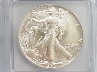 Coinhunters - 1988 American Silver Eagle - Icg Ms69 - 1 Oz.  999 Fine photo