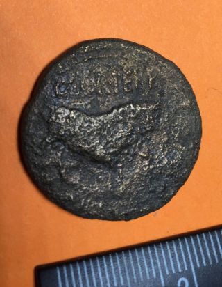 Ancient Roman Imperial Coin - Bronze Of Tiberius photo
